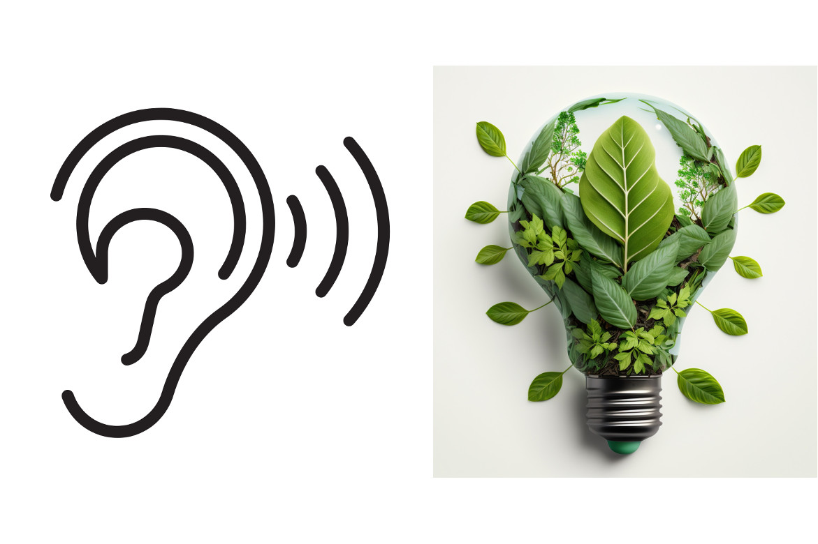 Acoustics and Environment